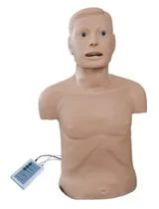 Intubation CPR Training Manikin