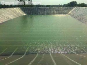 Agricultural Ponds Liners