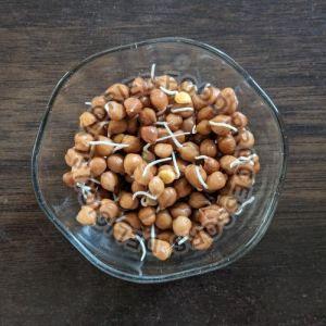 Dehydrated Chana Sprouts