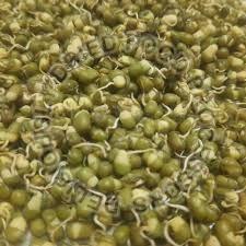 Dehydrated Moong Sprouts