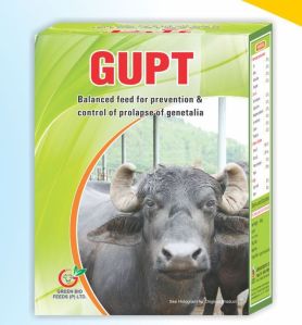 Gupt Balanced Cattle Feed