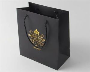 Customized Printed Paper Carry Bag