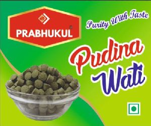 Prabhukul Pudina Wati-100 gm