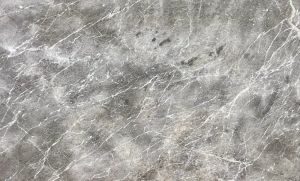 Fossil Grey Marble Slab