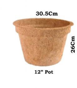 Coir Pot For Growing Plants