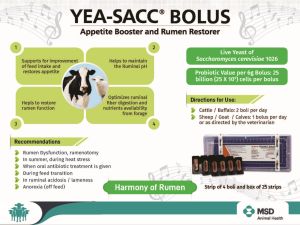 6g Yea Sacc Veterinary Bolus