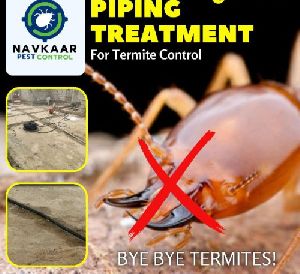 Termite Control Service