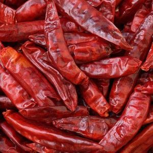 Dried Red Chili