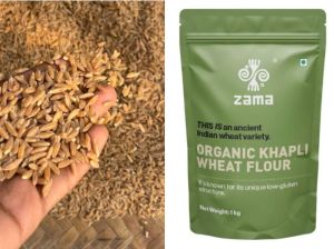 Zama Organic Khapli Wheat For Making Bread, Cooking, Cookies, Bakery Products