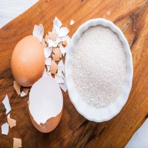 Eggshell Powder