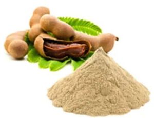 Tamarind Seed Kernel Powder