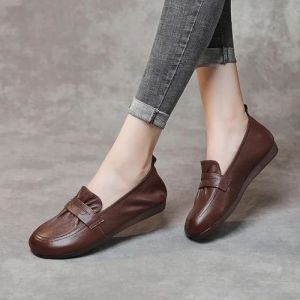 Canvas Ladies Leather Shoes, Color : Brown