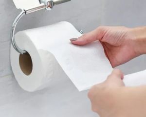 Plain Toilet Paper Roll