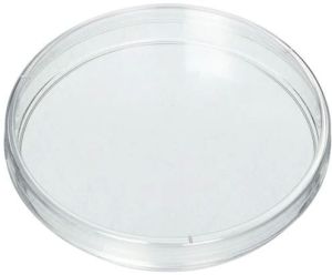 Plt Glass Petri Dish, Shape : Round