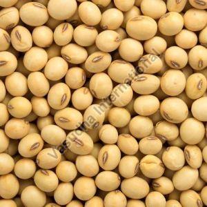 Soybean Seeds For Cooking, Animal Feed