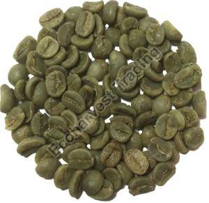 Arabica Green Coffee Beans, Packaging Type : Plastic Pack