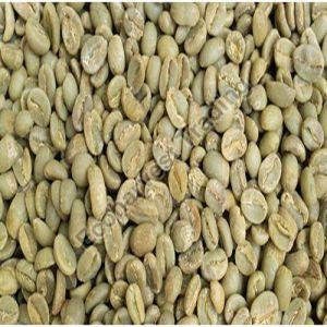 C Grade Robusta Parchment Washed Coffee Beans