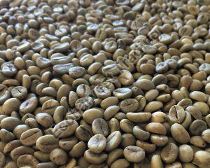 C Grade Unwashed Arabica Cherry Coffee Beans