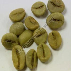 PB Robusta Parchment Washed Coffee Beans, Certification : FSSAI