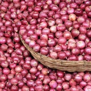 Fresh Red Onion