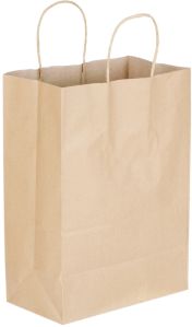 Plain Paper Carry Bag, Technics : Machine Made