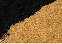 Rice Husk Quality 1