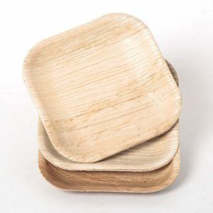 12 Inch Square Areca Leaf Plate