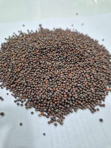 Black Mustard Seeds