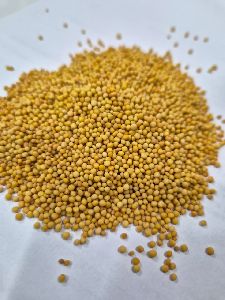 Jrr International Yellow Mustard Seeds For Spices