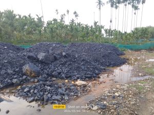 Coal Of Margherita Assam