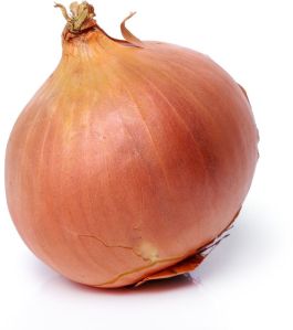 Export Import Logistics