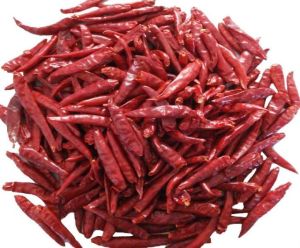 Natural Stemless Dried Red Chilli, Packaging Type : Paper Box, Plastic Packet