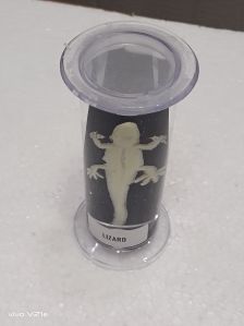 Plain Plastic Lizard Specimen For Chemical Laboratory