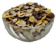 Multigrain Flakes