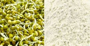 Sprouts Powder