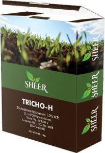 Sherr 1kg Trichoderma Harzianum Biopesticide 2 Years, Packaging Type : Paper Box