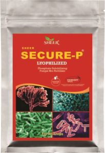 Secure-P Lyophilized Phosphate Solubilizing Fungal Bio Fertilizer