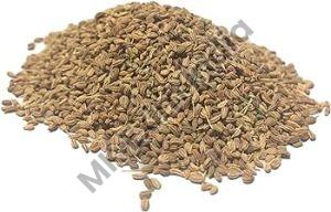 Raw Common Ajwain Seeds For Cooking