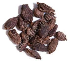 Black Cardamom, Packaging Type : Polythene Bag