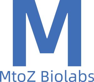 Mass Spectrometry-Based Peptide Identification Service