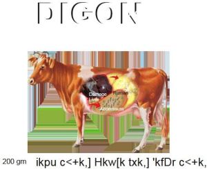 Digon Animal Feed Supplement