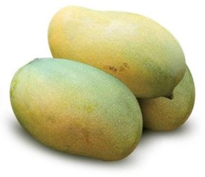 Organic Fresh Amrapali Mango, Color : Yellow