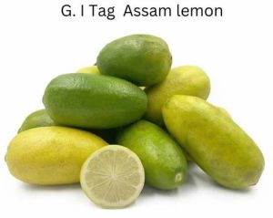 TM Fresh Organic Green Lemon For Fast Food, Drinks