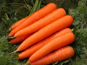 Fresh Carrot For Snacks, Pickle, Juice