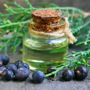 Berries Natural Juniper Leaf Oil For Cosmetic Uses, Medical Uses