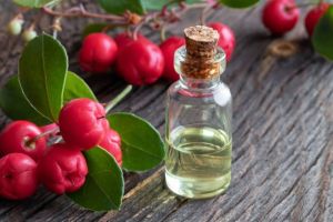 Natural Wintergreen Oil