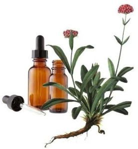 Spikenard Oil