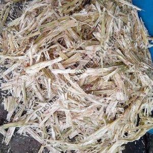 Waste Sugarcane Bagasse, Feature : Dried