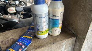 Pest Control Chemicals