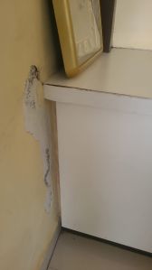 Termite Control Services